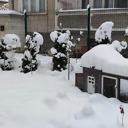 деметра